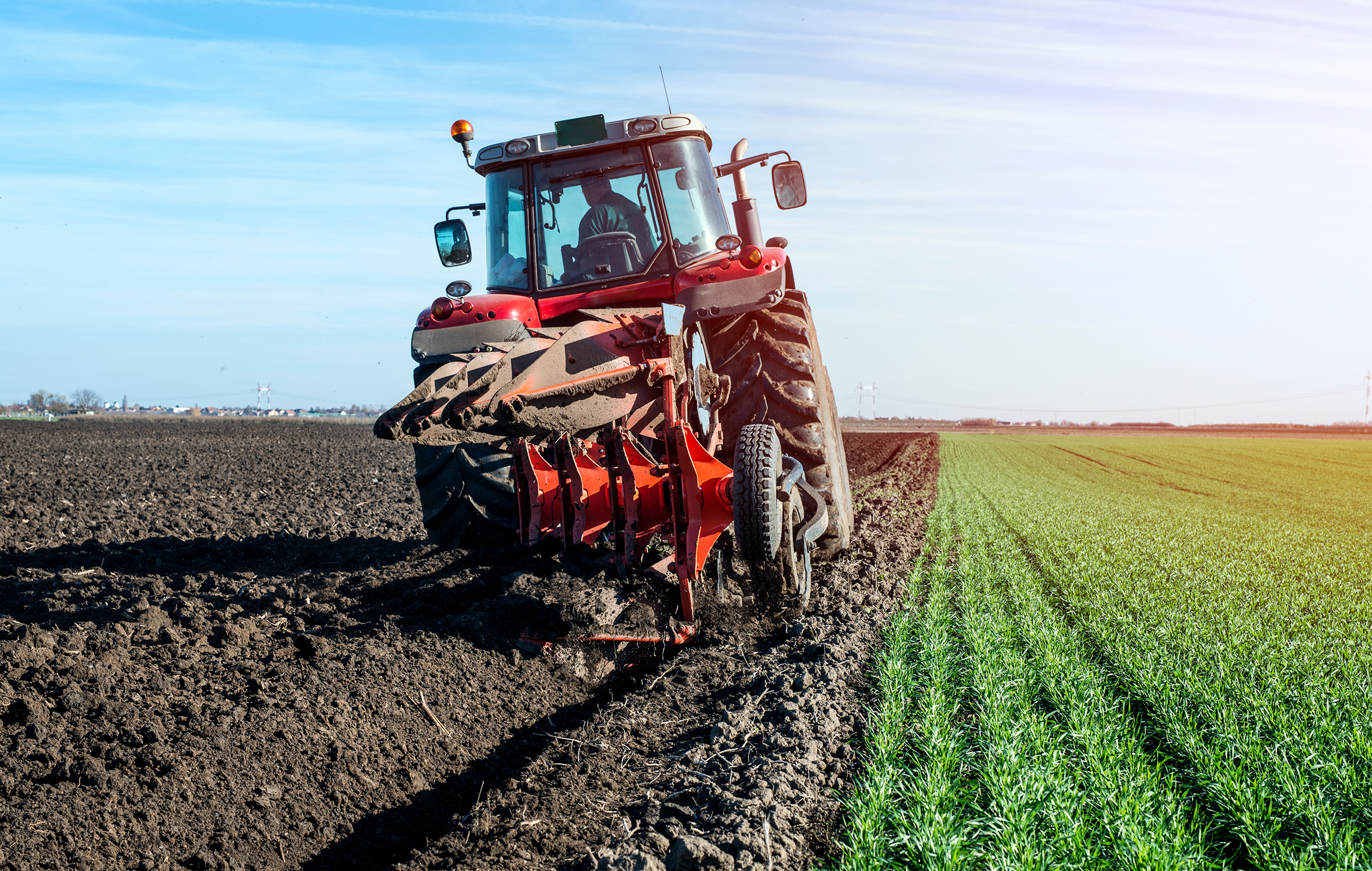 منتجات غذائية متنوعة